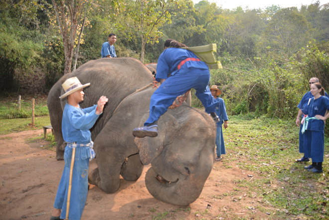 Riding and learning about elephants was one of the highlights of my trip.
